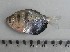  ( - UNMDP-T 3634)  @11 [ ] Unspecified (default): All Rights Reserved  Unspecified Unspecified