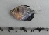 ( - UNMDP-T 3636)  @11 [ ] Unspecified (default): All Rights Reserved  Unspecified Unspecified