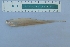  ( - UNMDP-T 3784)  @11 [ ] Unspecified (default): All Rights Reserved  Unspecified Unspecified