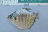  ( - UNMDP-T 3785)  @11 [ ] Unspecified (default): All Rights Reserved  Unspecified Unspecified