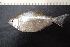  ( - UNMDP-T 3907)  @11 [ ] Unspecified (default): All Rights Reserved  Unspecified Unspecified