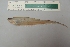  ( - UNMDP-T 3916)  @11 [ ] Unspecified (default): All Rights Reserved  Unspecified Unspecified