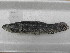  ( - UNMDP-T 4054)  @11 [ ] Unspecified (default): All Rights Reserved  Unspecified Unspecified