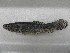  ( - UNMDP-T 4055)  @11 [ ] Unspecified (default): All Rights Reserved  Unspecified Unspecified