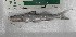  ( - UNMDP-T 4244)  @11 [ ] Unspecified (default): All Rights Reserved  Unspecified Unspecified