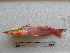  ( - UNMDP-T 4388)  @11 [ ] Unspecified (default): All Rights Reserved  Unspecified Unspecified