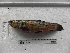  ( - UNMDP-T 4424)  @11 [ ] Unspecified (default): All Rights Reserved  Unspecified Unspecified