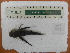  ( - UNMDP-T 4461)  @11 [ ] Unspecified (default): All Rights Reserved  Unspecified Unspecified