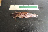 ( - UNMDP-T4705)  @11 [ ] Unspecified (default): All Rights Reserved  Unspecified Unspecified