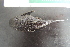  ( - UNMDP-T4711)  @11 [ ] Unspecified (default): All Rights Reserved  Unspecified Unspecified