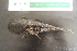  ( - UNMDP-T4713)  @11 [ ] Unspecified (default): All Rights Reserved  Unspecified Unspecified