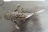  ( - UNMDP-T4715)  @11 [ ] Unspecified (default): All Rights Reserved  Unspecified Unspecified