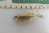  ( - UNMDP-T4756)  @11 [ ] Unspecified (default): All Rights Reserved  Unspecified Unspecified