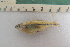  ( - UNMDP-T4757)  @11 [ ] Unspecified (default): All Rights Reserved  Unspecified Unspecified