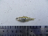  ( - UNMDP-T4768)  @11 [ ] Unspecified (default): All Rights Reserved  Unspecified Unspecified