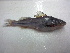  ( - UNMDP-T4863)  @11 [ ] Unspecified (default): All Rights Reserved  Unspecified Unspecified
