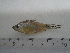  ( - UNMDP-T 5029)  @11 [ ] Unspecified (default): All Rights Reserved  Unspecified Unspecified