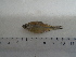  ( - UNMDP-T 5031)  @11 [ ] Unspecified (default): All Rights Reserved  Unspecified Unspecified