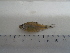  ( - UNMDP-T 5032)  @11 [ ] Unspecified (default): All Rights Reserved  Unspecified Unspecified