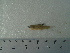  ( - UNMDP-T5112)  @11 [ ] Unspecified (default): All Rights Reserved  Unspecified Unspecified