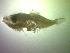  ( - UNMDP FL 023)  @12 [ ] Unspecified (default): All Rights Reserved  Unspecified Unspecified