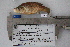  ( - F745)  @11 [ ] CreativeCommons - Attribution Non-Commercial Share-Alike (2010) Omar Dominguez-Dominguez Universidad Michoacana de San Nicolas de Hidalgo