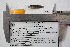  ( - F9816)  @12 [ ] CreativeCommons - Attribution Non-Commercial Share-Alike (2010) Omar Dominguez-Dominguez Universidad Michoacana de San Nicolas de Hidalgo