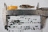  ( - F9825)  @12 [ ] CreativeCommons - Attribution Non-Commercial Share-Alike (2010) Omar Dominguez-Dominguez Universidad Michoacana de San Nicolas de Hidalgo