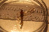  ( - TSZX-22968)  @12 [ ] CreativeCommons - Attribution Non-Commercial Share-Alike (2016) Unspecified Tromsø University Museum