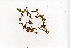  ( - RO_007)  @11 [ ] Copyright (2016) Ryan. D. Orton African Centre for DNA Barcoding
