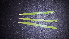  ( - RO_114)  @11 [ ] Copyright (2016) Ryan. D. Orton African Centre for DNA Barcoding