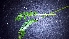  ( - RO_119)  @11 [ ] Copyright (2016) Ryan. D. Orton African Centre for DNA Barcoding
