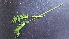 ( - RO_119)  @11 [ ] Copyright (2016) Ryan. D. Orton African Centre for DNA Barcoding