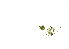  ( - RO_120)  @11 [ ] Copyright (2016) Ryan. D. Orton African Centre for DNA Barcoding