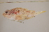  ( - FWRI00247)  @11 [ ] CreativeCommons - Attribution Non-Commercial (2011) Smithsonian Institution Smithsonian Institution