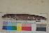  ( - FWRI00358)  @11 [ ] CreativeCommons - Attribution Non-Commercial (2011) Smithsonian Institution Smithsonian Institution