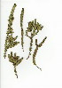  ( - HKM.620.7)  @11 [ ] CreativeCommons - Attribution (2012) Unspecified Unspecified