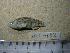  ( - NEC-0182)  @13 [ ] Unspecified (default): All Rights Reserved  Unspecified Unspecified