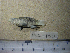  ( - NEC-0183)  @13 [ ] Unspecified (default): All Rights Reserved  Unspecified Unspecified