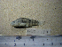  ( - NEC-0184)  @13 [ ] Unspecified (default): All Rights Reserved  Unspecified Unspecified