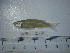  ( - NEC-0218)  @11 [ ] Unspecified (default): All Rights Reserved  Unspecified Unspecified
