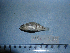  ( - NEC-0234)  @12 [ ] Unspecified (default): All Rights Reserved  Unspecified Unspecified