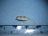  ( - NEC-0235)  @12 [ ] Unspecified (default): All Rights Reserved  Unspecified Unspecified