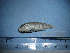  ( - NEC-0236)  @12 [ ] Unspecified (default): All Rights Reserved  Unspecified Unspecified