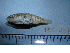  ( - NEC-0237)  @12 [ ] Unspecified (default): All Rights Reserved  Unspecified Unspecified