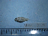  ( - NEC-0239)  @12 [ ] Unspecified (default): All Rights Reserved  Unspecified Unspecified