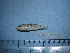  ( - NEC-0242)  @11 [ ] Unspecified (default): All Rights Reserved  Unspecified Unspecified