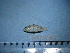  ( - NEC-0243)  @12 [ ] Unspecified (default): All Rights Reserved  Unspecified Unspecified