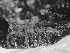  ( - GAB028)  @11 [ ] Copyright (2016) Hannah Soukup University of Oregon, Museum of Natural and Cultural History