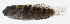  ( - GAM-225)  @11 [ ] CreativeCommons  Attribution Non-Commercial (by-nc) (2010) Unspecified Smithsonian Institution National Museum of Natural History